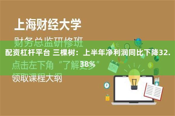 配资杠杆平台 三棵树：上半年净利润同比下降32.38%