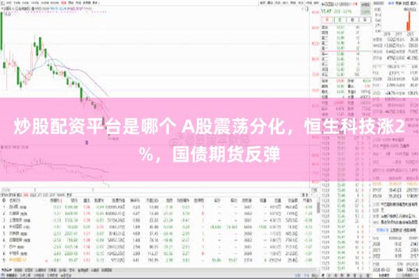 炒股配资平台是哪个 A股震荡分化，恒生科技涨2%，国债期货反弹