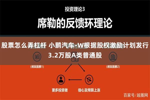 股票怎么弄杠杆 小鹏汽车-W根据股权激励计划发行3.2万股A类普通股