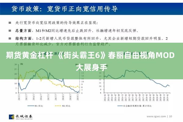 期货黄金杠杆 《街头霸王6》春丽自由视角MOD 大展身手