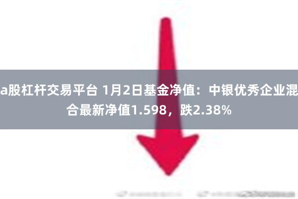 a股杠杆交易平台 1月2日基金净值：中银优秀企业混合最新净值1.598，跌2.38%